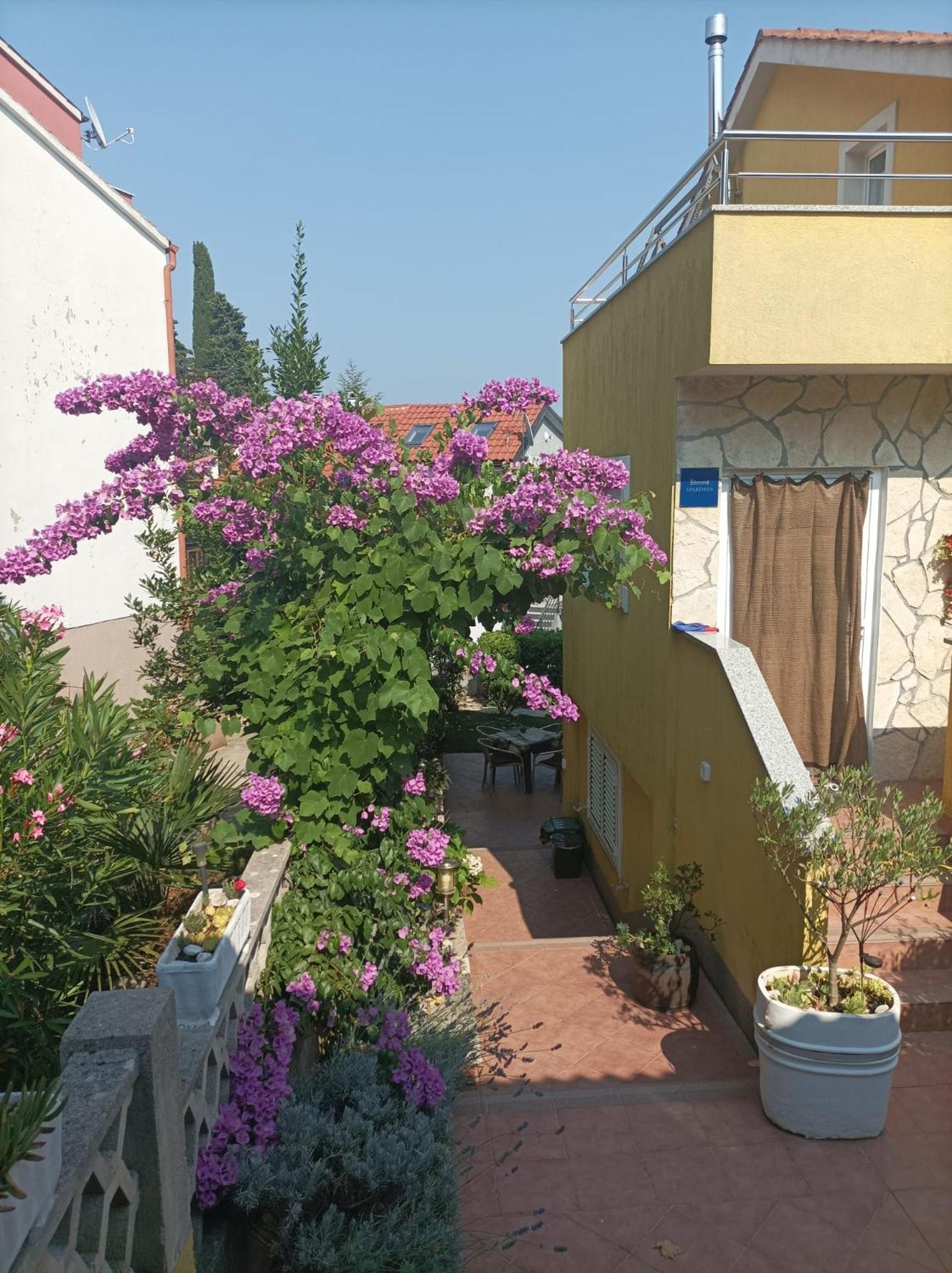 Kornić Apartmani Grguric מראה חיצוני תמונה