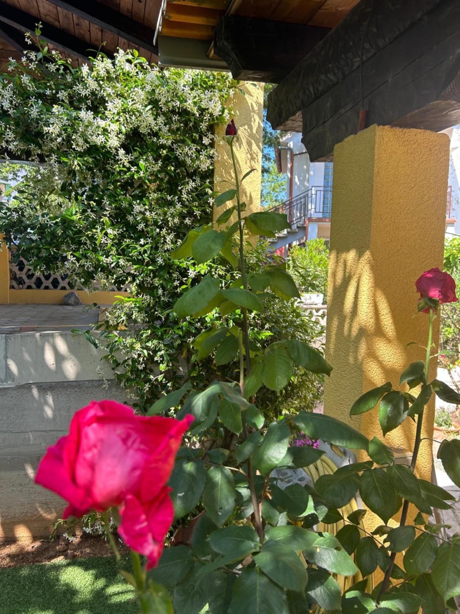 Kornić Apartmani Grguric מראה חיצוני תמונה